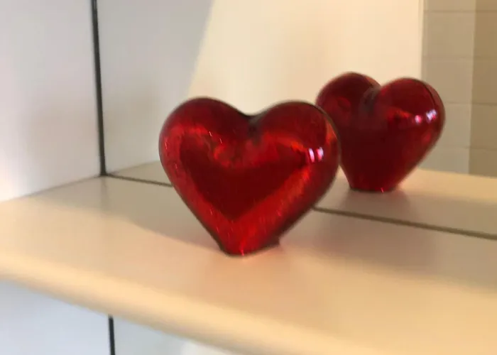 Appartamento Metro Molinette Panoramico Con 6 Posti Letto *