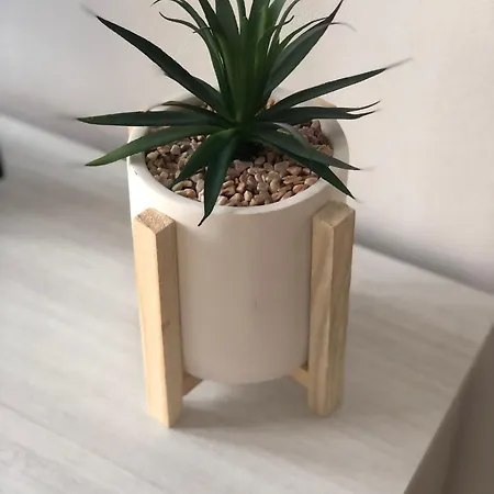 Metro Molinette Panoramico Con 6 Posti Letto * Турин